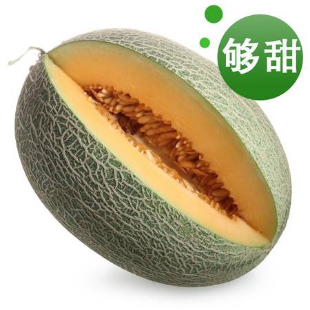 西域饋贈，甜蜜當季——新疆哈密瓜與西州蜜瓜批發(fā)指南